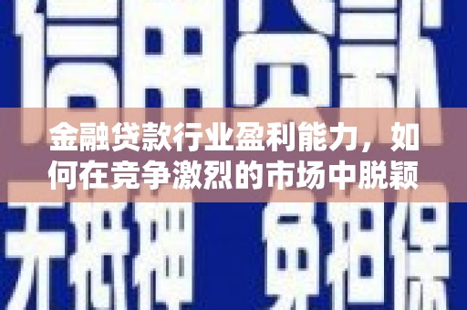 蓝山金融贷款行业盈利能力，如何在竞争激烈的市场中脱颖而出？